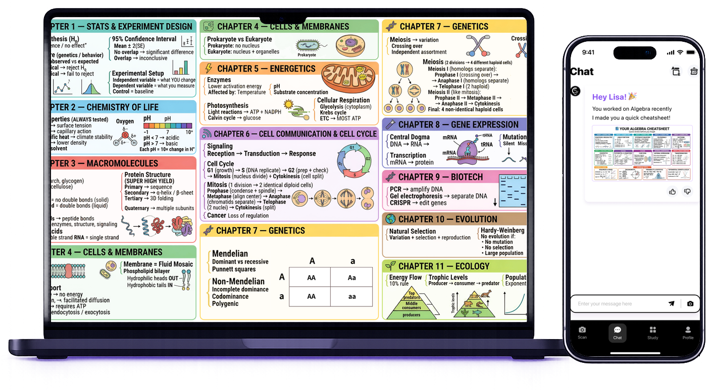 Cheatsheet